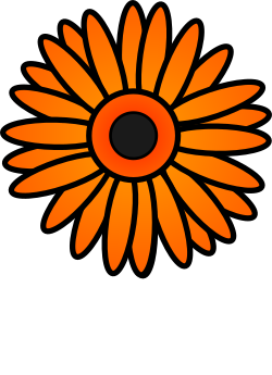 Gerbera